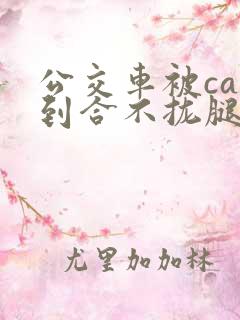 公交车被cao到合不拢腿app