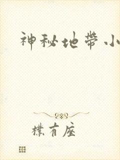 神秘地带小说