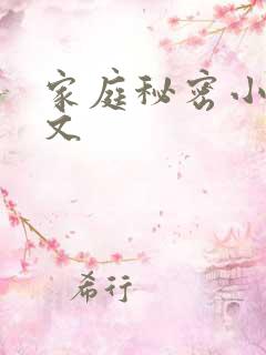 家庭秘密小说全文