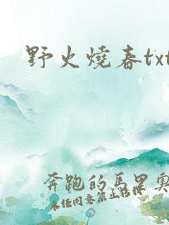 野火烧春txt