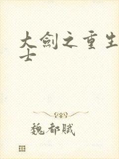 大剑之重生圣骑士