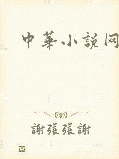 中华小说网