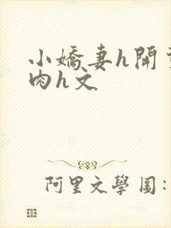 小娇妻h开荤粗肉h文