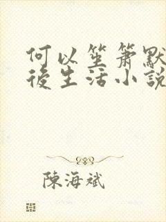 何以笙箫默之婚后生活小说