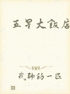 五星大饭店小说