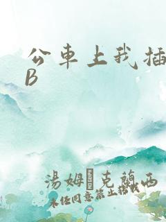 公车上我插上骚B