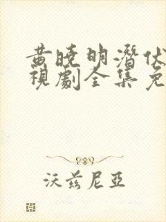 黄晓明潜伏者电视剧全集免费观看