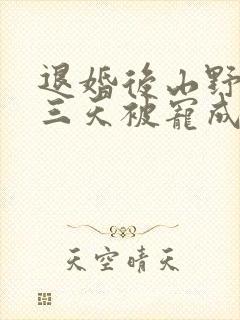 退婚后山野糙汉三天被宠成宝小说