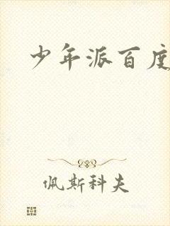 少年派百度百科