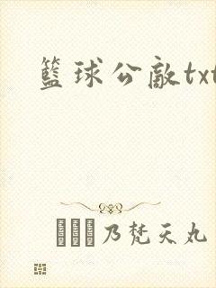 篮球公敌txt