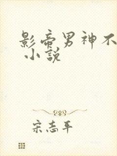 影帝男神不节制 小说