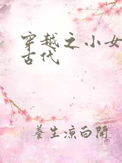 穿越之小女子闹古代