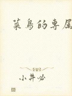 菜鸟的专属大神