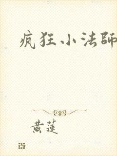 疯狂小法师