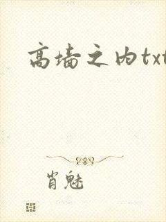 高墙之内txt