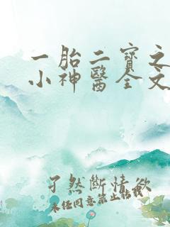 一胎二宝之弃妃小神医全文免费阅读