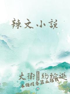 辣文小说