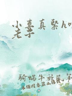 小喜真紧h嘶爽老子