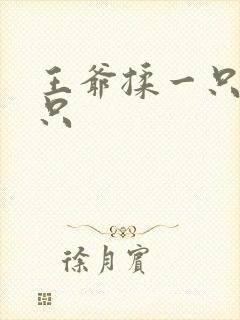 王爷揉一只舔一只