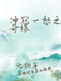 冲冠一怒之合租奇缘