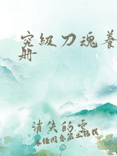 究级刀魂养成手册