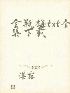 金瓶梅txt全集下载