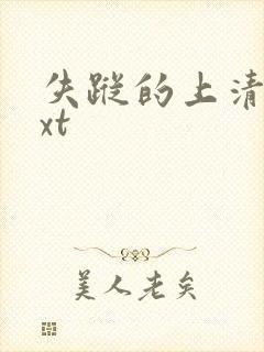 失踪的上清寺txt