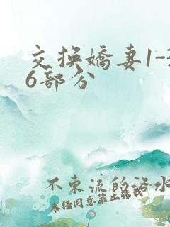 交换娇妻1-36部分