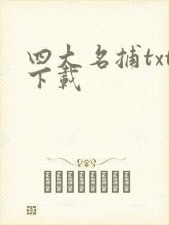四大名捕txt下载