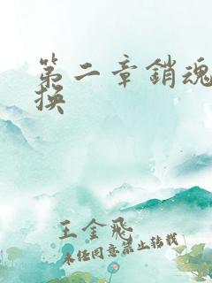 第二章销魂的交换