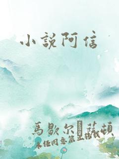 小说阿信