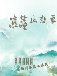 嘘禁止想象哔哩哔哩