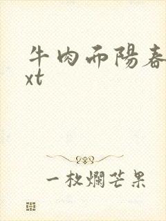 牛肉面阳春面txt