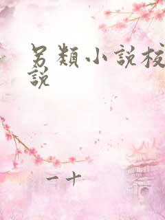 另类小说校园小说