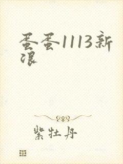 蛋蛋1113新浪
