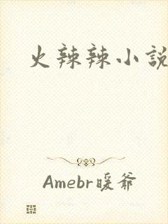 火辣辣小说全集