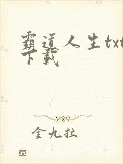 霸道人生txt下载
