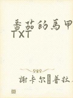 番茄的马甲小说TXT