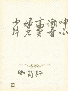 少妇高潮呻吟A片免费看小说