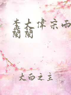 李大伟宋雨睛孙兰兰