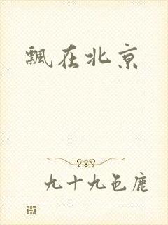 飘在北京