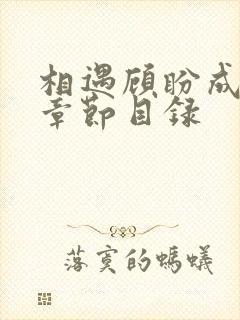 相遇顾盼成欢全章节目录