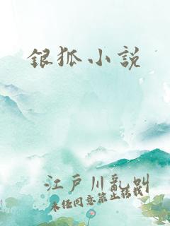 银狐小说