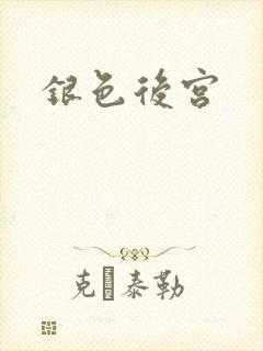 银色后宫