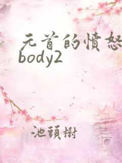 元首的愤怒nobody2