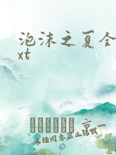 泡沫之夏全集txt