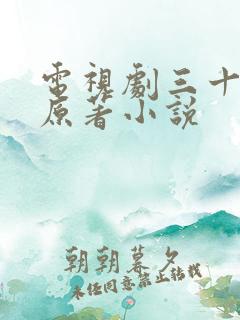 电视剧三十而已原著小说