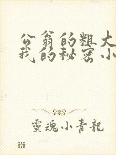 公翁的粗大放进我的秘密小说