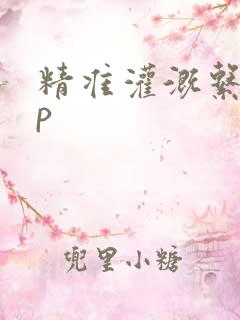 精准灌溉系统hp