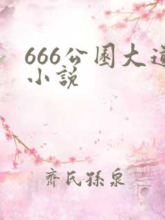 666公园大道小说